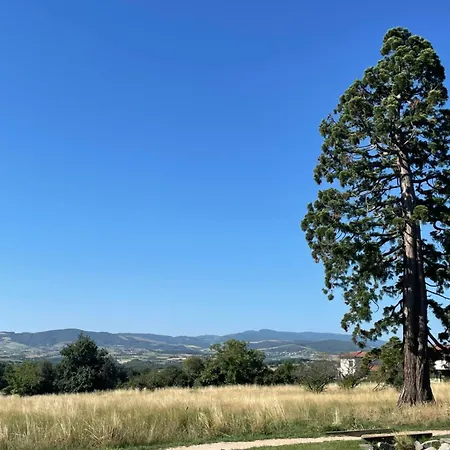別荘 Maison De Village Coeur Andeol Saint-Andeol-le-Chateau